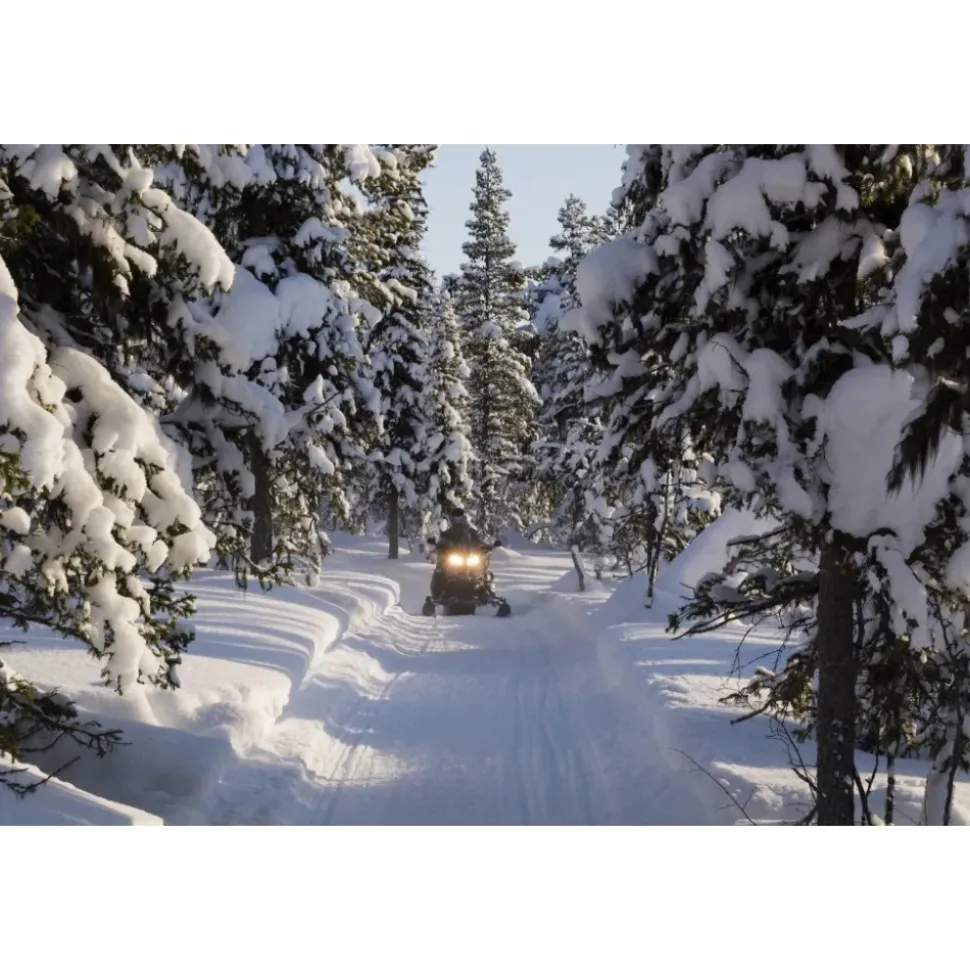 Cortina 360 - Luxury Indoor Summer Experience - Cortina Dolomites UNESCO - Exclusive Experiences - Daily - Avvenice