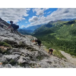 Cortina 360 - Luxury Panorama Summer Experience - Cortina Dolomites UNESCO - Helicopter - Exclusive Experiences - Daily - Avvenice