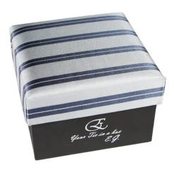 Cravates E.G. - Double Strip Tie - Mix of Gray and Ice Gray - Avvenice