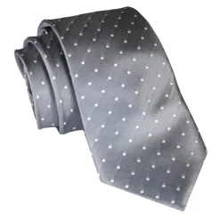 Cravates E.G. - Polka Dot Tie - Ice Gray - Avvenice