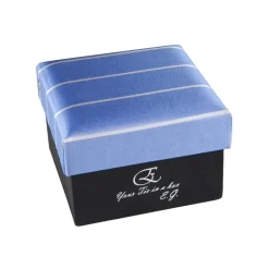 Cravates E.G. - Single Stripe Tie - Sky Blue - Avvenice