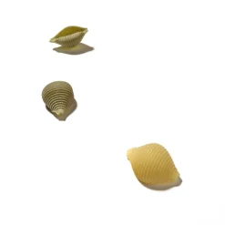 Dalla Costa - Organic Conchiglie Tricolor - Tomato and Spinach - Avvenice