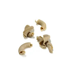 Dalla Costa - Torcetti - Porcino Mushroom - Avvenice