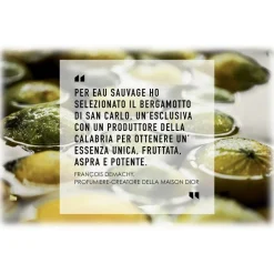 Dior - Eau Sauvage - Eau de Toilette - Luxury Fragrances - 100 ml - Avvenice