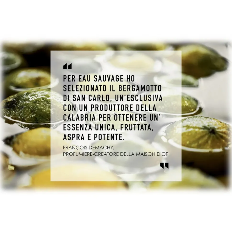 Dior - Eau Sauvage - Eau de Toilette - Luxury Fragrances - 100 ml - Avvenice