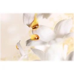 Dior - J’adore - Eau de Parfum - Luxury Fragrances - 30 ml - Avvenice