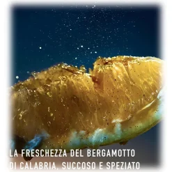 Dior - Sauvage - Eau de Parfum - Luxury Fragrances - 200 ml - Avvenice