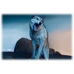 Dior - Sauvage - Eau de Parfum - Luxury Fragrances - 60 ml - Avvenice