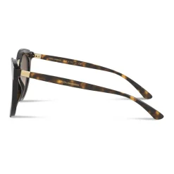 Dolce & Gabbana - Double Line Sunglasses - Havana - Dolce & Gabbana Eyewear - Avvenice