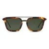 Dolce & Gabbana - Square Sunglasses with Double Bridge - Havana Cammello - Dolce & Gabbana Eyewear - Avvenice