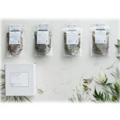 Dr. Farmer - Biodetox Tea Kit - 2 Weeks - 100 % Organic - 100 % Italian - 100 % Vegan - Organic Tea - Avvenice