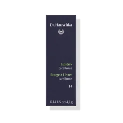 Dr. Hauschka - Lipstick - Professional Luxury Cosmetics - Avvenice