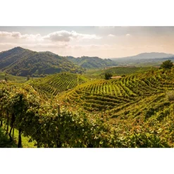 Esplanade Tergesteo - Junior Suite Deluxe - 4 Days 3 Nights - Exclusive Luxury - Montegrotto Terme - Veneto Italy - Avvenice