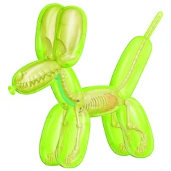 Fame Master - Balloon Dog - Green - 4D Master - Mighty Jaxx - Jason Freeny - Body Anatomy - XX Ray - Art Toys - Avvenice