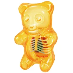 Fame Master - Gummi Bear - Orange - 4D Master - Mighty Jaxx - Jason Freeny - Body Anatomy - XX Ray - Art Toys - Avvenice