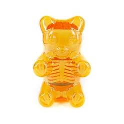 Fame Master - Gummi Bear - Orange - 4D Master - Mighty Jaxx - Jason Freeny - Body Anatomy - XX Ray - Art Toys - Avvenice