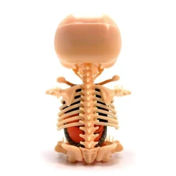 Fame Master - Gummi Bear - Orange - 4D Master - Mighty Jaxx - Jason Freeny - Body Anatomy - XX Ray - Art Toys - Avvenice