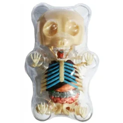 Fame Master - Gummi Bear - Classic - 4D Master - Mighty Jaxx - Jason Freeny - Body Anatomy - XX Ray - Art Toys - Avvenice