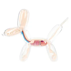 Fame Master - Small Balloon Dog - Classic - 4D Master - Mighty Jaxx - Jason Freeny - Body Anatomy - XX Ray - Art Toys - Avvenice