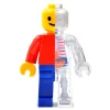 Fame Master - Small Brick Man - Classic - 4D Master - Mighty Jaxx - Jason Freeny - Body Anatomy - XX Ray - Art Toys - Avvenice