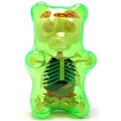 Fame Master - Small Gummi Bear - Green - 4D Master - Mighty Jaxx - Jason Freeny - Body Anatomy - XX Ray - Art Toys - Avvenice