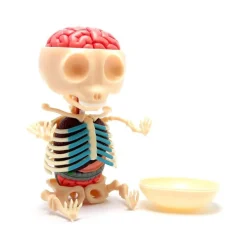 Fame Master - Small Gummi Bear - Green - 4D Master - Mighty Jaxx - Jason Freeny - Body Anatomy - XX Ray - Art Toys - Avvenice