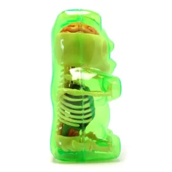 Fame Master - Small Gummi Bear - Green - 4D Master - Mighty Jaxx - Jason Freeny - Body Anatomy - XX Ray - Art Toys - Avvenice