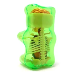 Fame Master - Small Gummi Bear - Green - 4D Master - Mighty Jaxx - Jason Freeny - Body Anatomy - XX Ray - Art Toys - Avvenice
