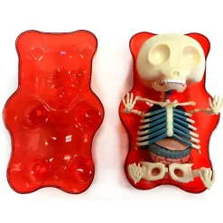 Fame Master - Small Gummi Bear - Red - 4D Master - Mighty Jaxx - Jason Freeny - Body Anatomy - XX Ray - Art Toys - Avvenice