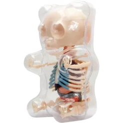 Fame Master - Small Gummi Bear - Classic - 4D Master - Mighty Jaxx - Jason Freeny - Body Anatomy - XX Ray - Art Toys - Avvenice
