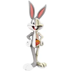 Fame Master - XXRay Bugs Bunny - 4D Master - Mighty Jaxx - Jason Freeny - Body Anatomy - XX Ray - Art Toys - Avvenice