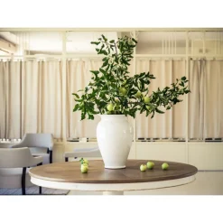 Furnirussi Tenuta - Gourmet - 4 Days 3 Nights - Avvenice