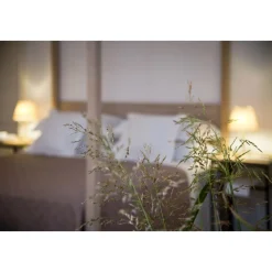 Furnirussi Tenuta - Relax - 4 Days 3 Nights - Avvenice