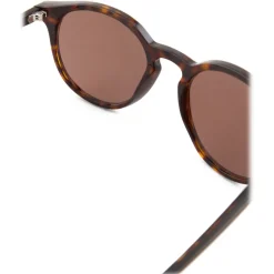 Giorgio Armani - Round Sunglasses - Brown - Sunglasses - Giorgio Armani Eyewear - Avvenice