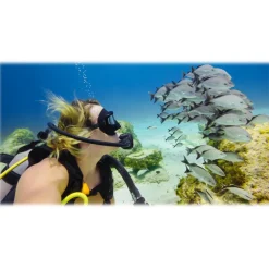 GoPro - Blue Water Dive Filter for Super Suit - GoPro Accessories - Avvenice