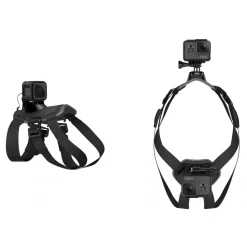 GoPro - Fetch - Dog Harness - GoPro Accessories - Avvenice