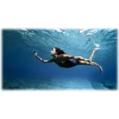 GoPro - HERO8 Black - Underwater Professional 4K Video Camera - Professional Video Camera - Avvenice