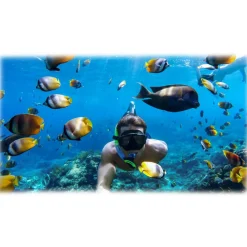 GoPro - HERO5 Black - Underwater Professional 4K Video Camera - Professional Video Camera - Avvenice