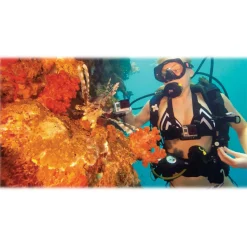 GoPro - Magenta Dive Filter for Standard + Blackout + Camo Housing - GoPro Accessories - Avvenice