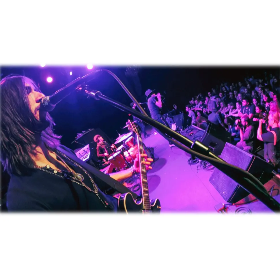 GoPro - Mic Stand Mount - GoPro Accessories - Avvenice