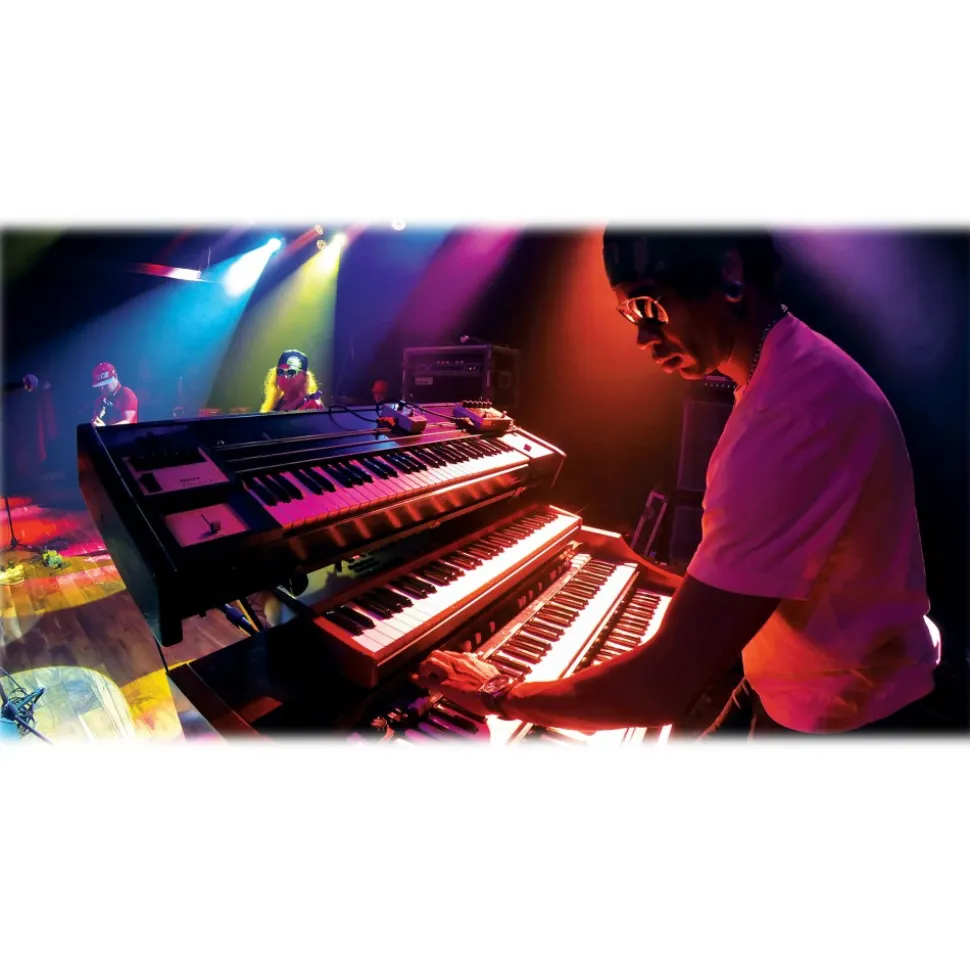 GoPro - Mic Stand Mount - GoPro Accessories - Avvenice