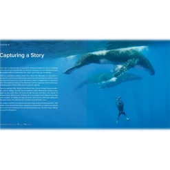 GoPro - Professional Guide to Filmmaking - GoPro Accessories - Avvenice