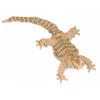 Jekca - Bearded Dragon 01 - Big - Lego - Sculpture - Construction - 4D - Brick Animals - Toys - Avvenice