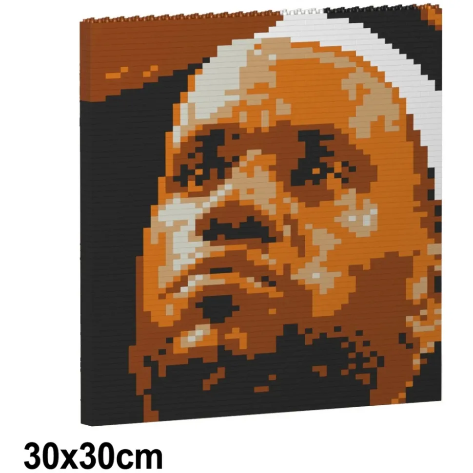 Jekca - LeBron James Brick Painting 02S - Lego - Sculpture - Construction - 4D - Brick Animals - Toys - Avvenice