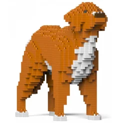 Jekca - Nova Scotia Duck Tolling Retriever 01S - Lego - Sculpture - Construction - 4D - Brick Animals - Toys - Avvenice