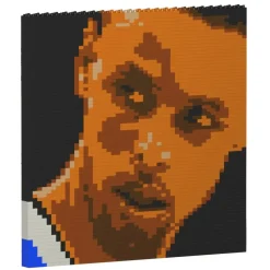 Jekca - Stephen Curry Brick Painting 04S - Lego - Sculpture - Construction - 4D - Brick Animals - Toys - Avvenice
