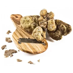 La Cerca - Fresh Truffle Log - Specialties with Truffle - Truffle Excellence - Organic Vegan - Avvenice