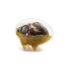 La Fattoria di Parma - Pasqualotto of Farm - Artisan Cured Meats - 2100 g - Avvenice