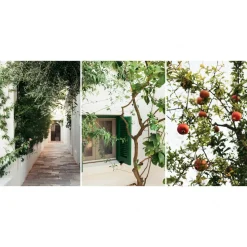 La Peschiera - Il Melograno - Apulian Country & Sea Experience - 6 Days 5 Nights - Avvenice