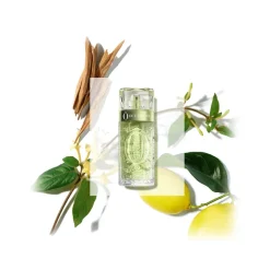 Lancôme - Ô de Lancôme - Eau de Toilette Spray - Luxury - 125 ml - Avvenice